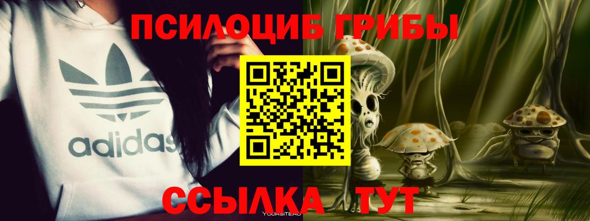 Галлюциногенные грибы мицелий Ханты-Мансийск